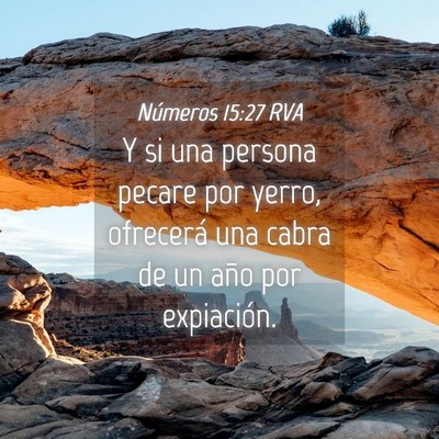 Picture 04 - Números 15:27 RVA - Y si una persona pecare por yerro, ofrecerá una - Bible Verse Picture