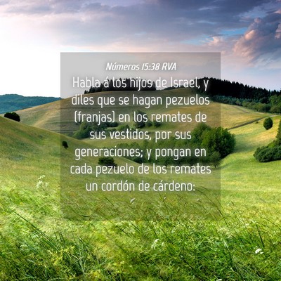 Picture 04 - Números 15:38 RVA - Habla á los hijos de Israel, y diles que se - Bible Verse Picture