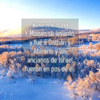 Picture 04 - Números 16:25 RVA - Y Moisés se levantó, y fué á Dathán y - Bible Verse Picture