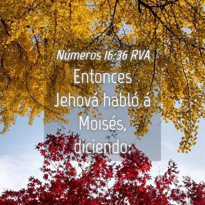 Picture 04 - Números 16:36 RVA - Entonces Jehová habló á Moisés, - Bible Verse Picture