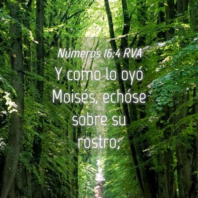 Picture 04 - Números 16:4 RVA - Y como lo oyó Moisés, echóse sobre su - Bible Verse Picture