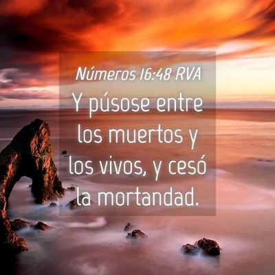 Picture 04 - Números 16:48 RVA - Y púsose entre los muertos y los vivos, y cesó - Bible Verse Picture