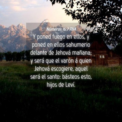 Picture 04 - Números 16:7 RVA - Y poned fuego en ellos, y poned en ellos - Bible Verse Picture