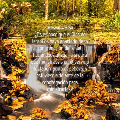 Picture 04 - Números 16:9 RVA - ¿Os es poco que el Dios de Israel os haya - Bible Verse Picture
