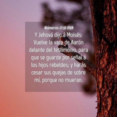 Picture 04 - Números 17:10 RVA - Y Jehová dijo á Moisés: Vuelve la vara de - Bible Verse Picture