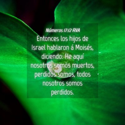 Picture 04 - Números 17:12 RVA - Entonces los hijos de Israel hablaron á Moisés, - Bible Verse Picture
