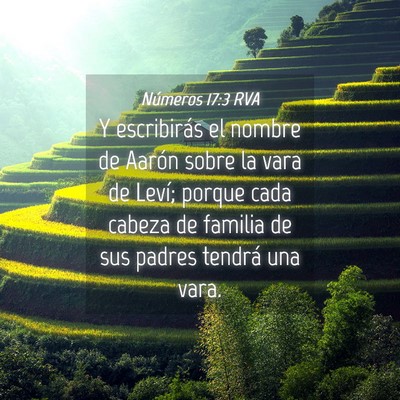 Picture 04 - Números 17:3 RVA - Y escribirás el nombre de Aarón sobre la vara - Bible Verse Picture
