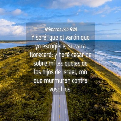Picture 04 - Números 17:5 RVA - Y será, que el varón que yo escogiere, su vara - Bible Verse Picture