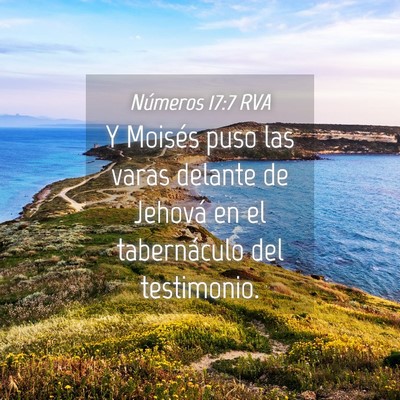 Picture 04 - Números 17:7 RVA - Y Moisés puso las varas delante de Jehová en el - Bible Verse Picture