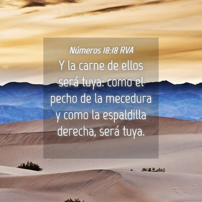 Picture 04 - Números 18:18 RVA - Y la carne de ellos será tuya: como el pecho de - Bible Verse Picture