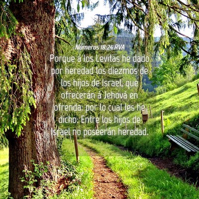 Picture 04 - Números 18:24 RVA - Porque á los Levitas he dado por heredad los - Bible Verse Picture