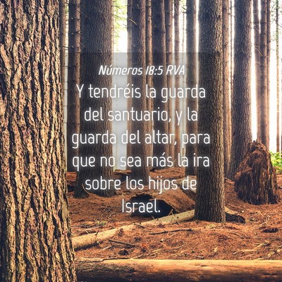 Picture 04 - Números 18:5 RVA - Y tendréis la guarda del santuario, y la guarda - Bible Verse Picture