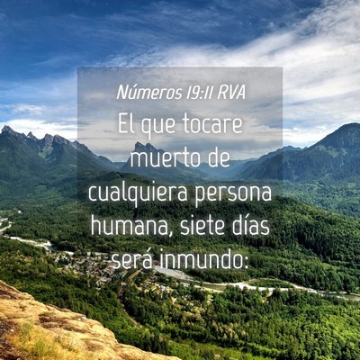 Picture 04 - Números 19:11 RVA - El que tocare muerto de cualquiera persona - Bible Verse Picture