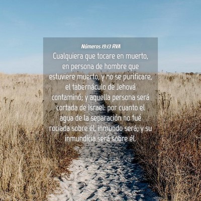 Picture 04 - Números 19:13 RVA - Cualquiera que tocare en muerto, en persona de - Bible Verse Picture