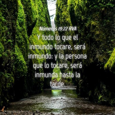 Picture 04 - Números 19:22 RVA - Y todo lo que el inmundo tocare, será inmundo: y - Bible Verse Picture
