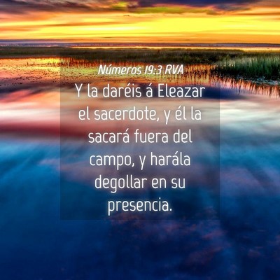 Picture 04 - Números 19:3 RVA - Y la daréis á Eleazar el sacerdote, y él la - Bible Verse Picture