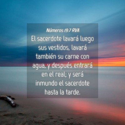 Picture 04 - Números 19:7 RVA - El sacerdote lavará luego sus vestidos, lavará - Bible Verse Picture