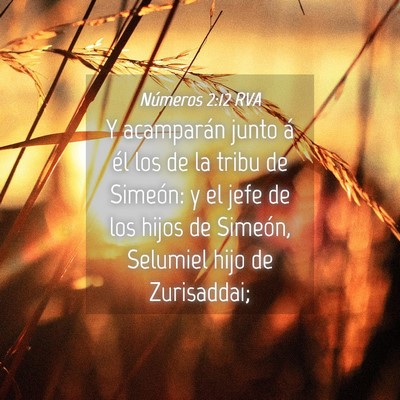 Picture 04 - Números 2:12 RVA - Y acamparán junto á él los de la tribu de - Bible Verse Picture