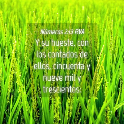 Picture 04 - Números 2:13 RVA - Y su hueste, con los contados de ellos, cincuenta - Bible Verse Picture