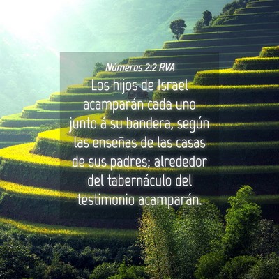 Picture 04 - Números 2:2 RVA - Los hijos de Israel acamparán cada uno junto á - Bible Verse Picture