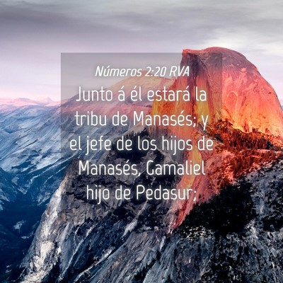 Picture 04 - Números 2:20 RVA - Junto á él estará la tribu de Manasés; y el - Bible Verse Picture