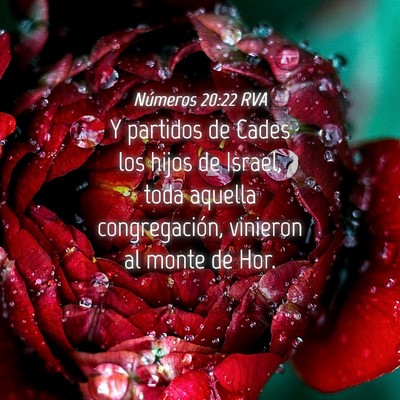 Picture 04 - Números 20:22 RVA - Y partidos de Cades los hijos de Israel, toda - Bible Verse Picture