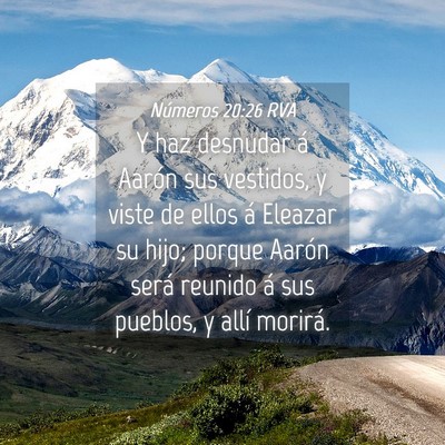 Picture 04 - Números 20:26 RVA - Y haz desnudar á Aarón sus vestidos, y viste de - Bible Verse Picture