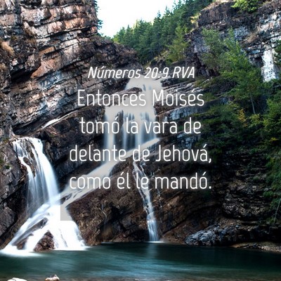 Picture 04 - Números 20:9 RVA - Entonces Moisés tomó la vara de delante de - Bible Verse Picture