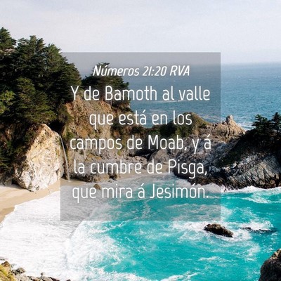 Picture 04 - Números 21:20 RVA - Y de Bamoth al valle que está en los campos de - Bible Verse Picture