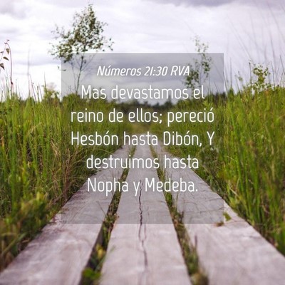 Picture 04 - Números 21:30 RVA - Mas devastamos el reino de ellos; pereció - Bible Verse Picture