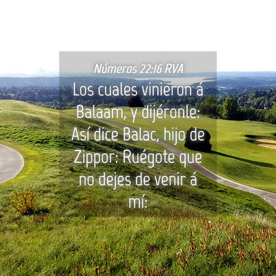 Picture 04 - Números 22:16 RVA - Los cuales vinieron á Balaam, y dijéronle: Así - Bible Verse Picture