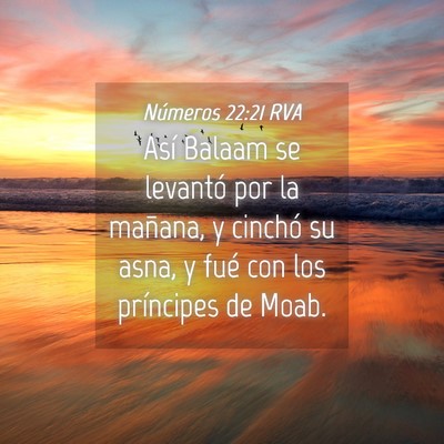 Picture 04 - Números 22:21 RVA - Así Balaam se levantó por la mañana, y cinchó - Bible Verse Picture