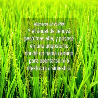 Picture 04 - Números 22:26 RVA - Y el ángel de Jehová pasó más allá, y - Bible Verse Picture