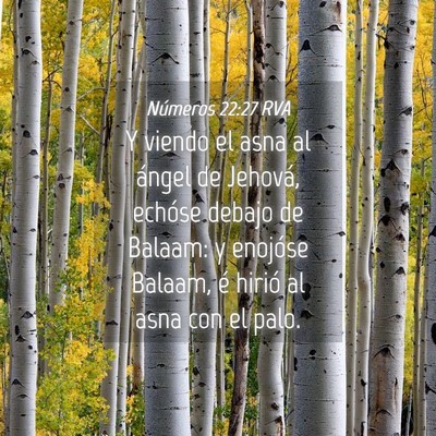 Picture 04 - Números 22:27 RVA - Y viendo el asna al ángel de Jehová, echóse - Bible Verse Picture