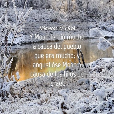 Picture 04 - Números 22:3 RVA - Y Moab temió mucho á causa del pueblo que era - Bible Verse Picture