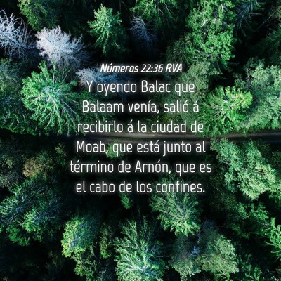 Picture 04 - Números 22:36 RVA - Y oyendo Balac que Balaam venía, salió á - Bible Verse Picture