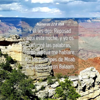 Picture 04 - Números 22:8 RVA - Y él les dijo: Reposad aquí esta noche, y yo os - Bible Verse Picture