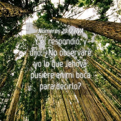 Picture 04 - Números 23:12 RVA - Y él respondió, y dijo: ¿No observaré yo lo - Bible Verse Picture