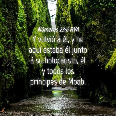 Picture 04 - Números 23:6 RVA - Y volvió á él, y he aquí estaba él junto á - Bible Verse Picture