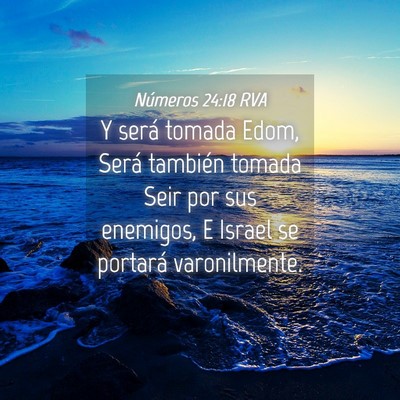 Picture 04 - Números 24:18 RVA - Y será tomada Edom, Será también tomada Seir - Bible Verse Picture