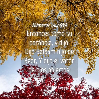 Picture 04 - Números 24:3 RVA - Entonces tomó su parábola, y dijo: Dijo Balaam - Bible Verse Picture