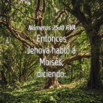 Picture 04 - Números 25:10 RVA - Entonces Jehová habló á Moisés, - Bible Verse Picture