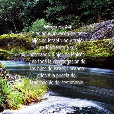 Picture 04 - Números 25:6 RVA - Y he aquí un varón de los hijos de Israel vino - Bible Verse Picture