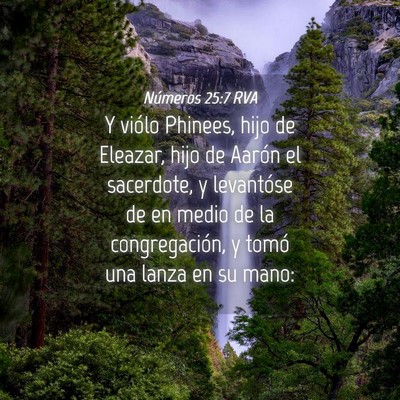 Picture 04 - Números 25:7 RVA - Y viólo Phinees, hijo de Eleazar, hijo de Aarón - Bible Verse Picture