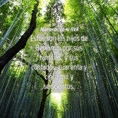 Picture 04 - Números 26:41 RVA - Estos son los hijos de Benjamín por sus - Bible Verse Picture