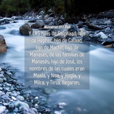 Picture 04 - Números 27:1 RVA - Y LAS hijas de Salphaad, hijo de Hepher, hijo de - Bible Verse Picture