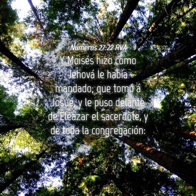 Picture 04 - Números 27:22 RVA - Y Moisés hizo como Jehová le había mandado; - Bible Verse Picture