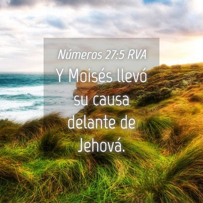 Picture 04 - Números 27:5 RVA - Y Moisés llevó su causa delante de - Bible Verse Picture