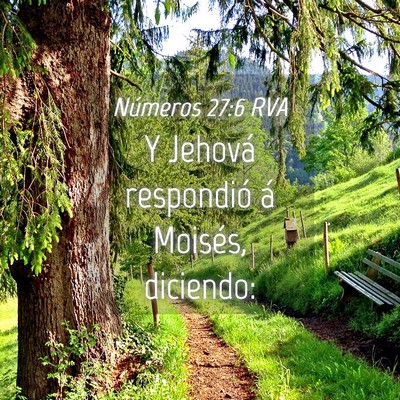 Picture 04 - Números 27:6 RVA - Y Jehová respondió á Moisés, - Bible Verse Picture