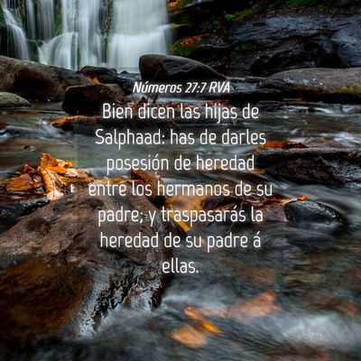 Picture 04 - Números 27:7 RVA - Bien dicen las hijas de Salphaad: has de darles - Bible Verse Picture